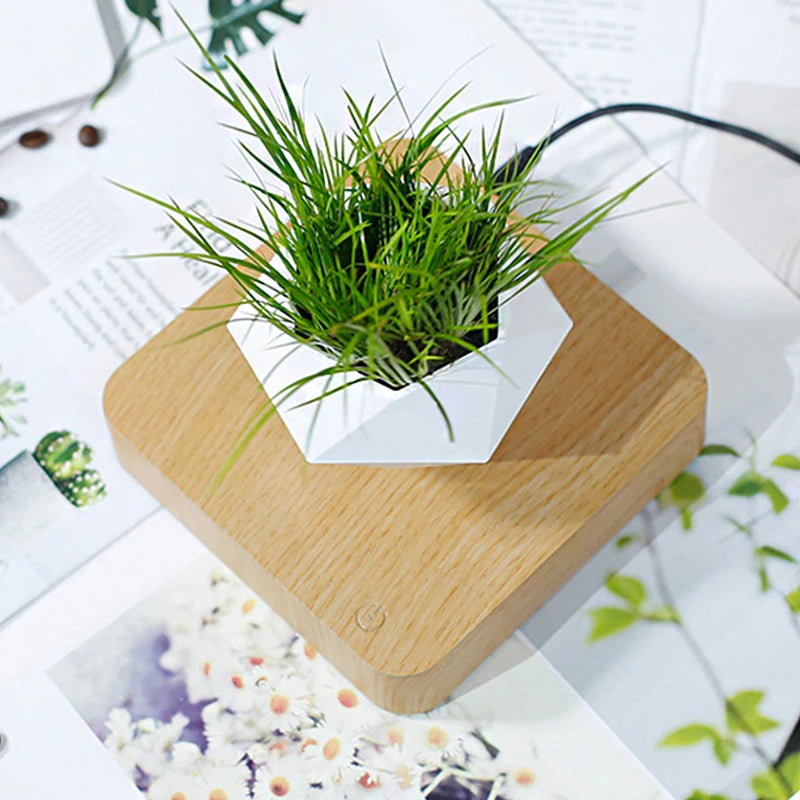 Bonsai pot with magnetic lift.